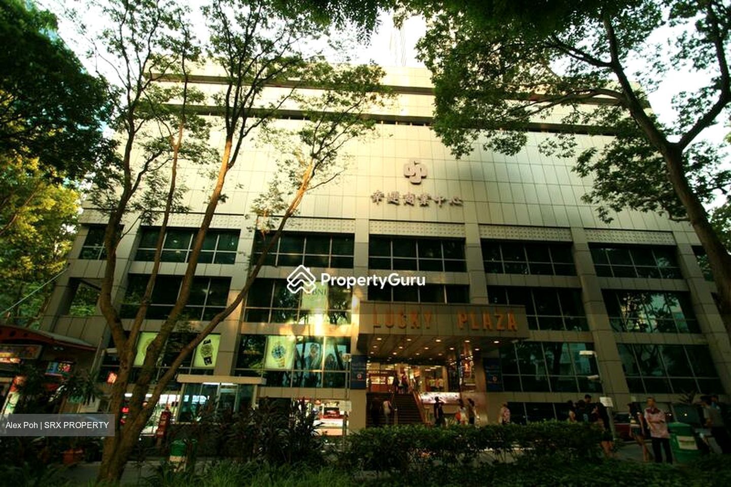Lucky Plaza (D9), Retail #518051661